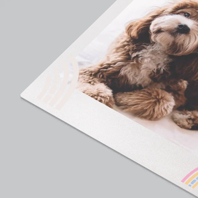 Colaj De Fotografii: Sa Ai O Zi Frumoasa - Mapa De Birou