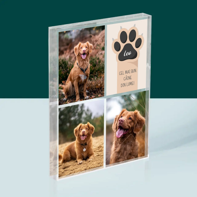 Colaj De Fotografii: Cel Mai Bun Câine - Bloc Acrilic