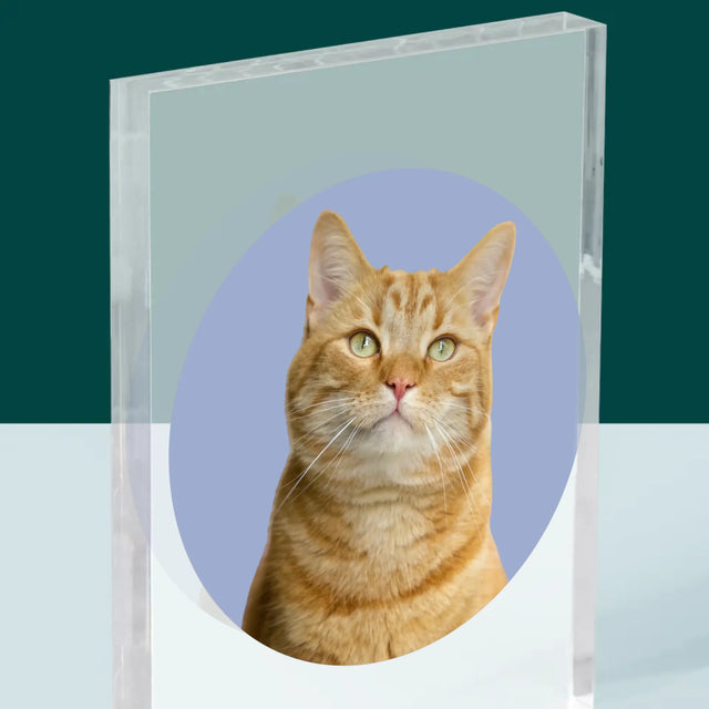 Fotografie Si Semnătură: Pisicul Tău - Bloc Acrilic