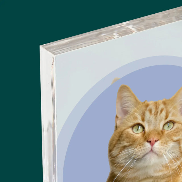 Fotografie Si Semnătură: Pisicul Tău - Bloc Acrilic