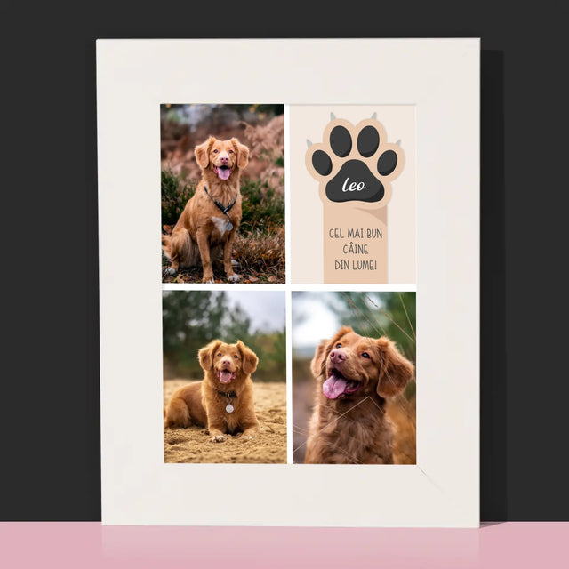 Colaj De Fotografii: Cel Mai Bun Câine - Ramă Pentru Fotografii (Horizontală)