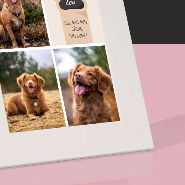 Colaj De Fotografii: Cel Mai Bun Câine - Ramă Pentru Fotografii (Horizontală)