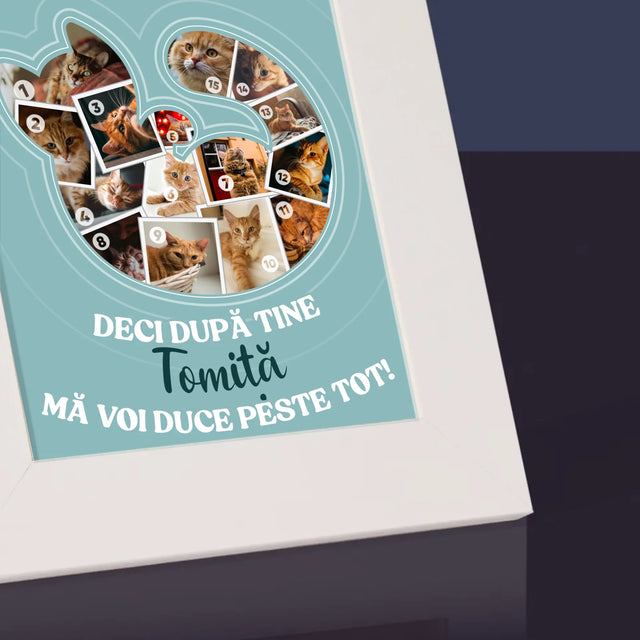 Formă Din Fotografii: Pisic - Ramă Pentru Fotografii (Horizontală)