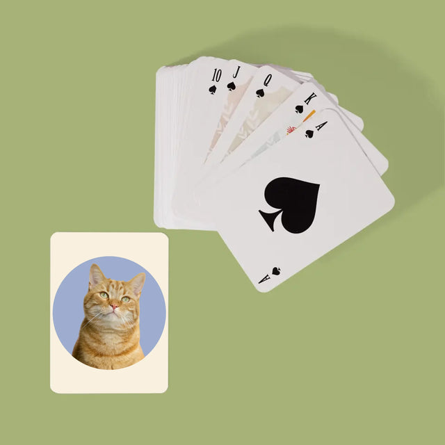 Fotografie Si Semnătură: Pisicul Tău - Cărți De Jok