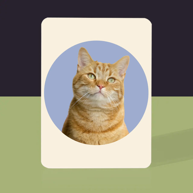 Fotografie Si Semnătură: Pisicul Tău - Cărți De Jok