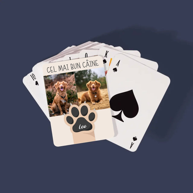 Colaj De Fotografii: Cel Mai Bun Câine - Cărți De Jok