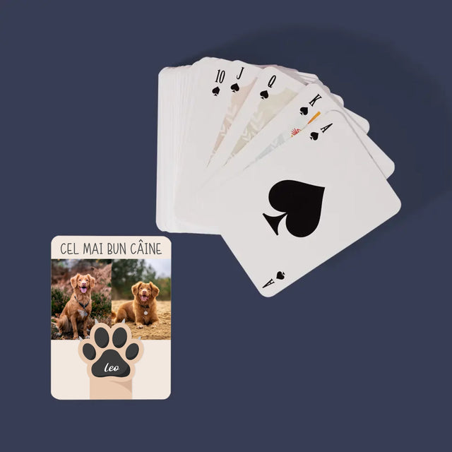 Colaj De Fotografii: Cel Mai Bun Câine - Cărți De Jok