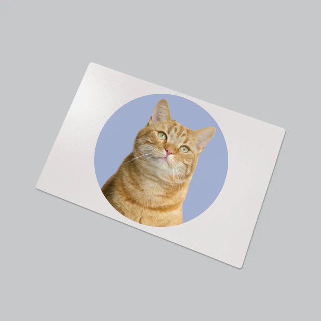 Fotografie Si Semnătură: Pisicul Tău - Mapa De Birou