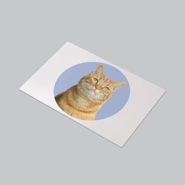 Fotografie Si Semnătură: Pisicul Tău - Mapa De Birou