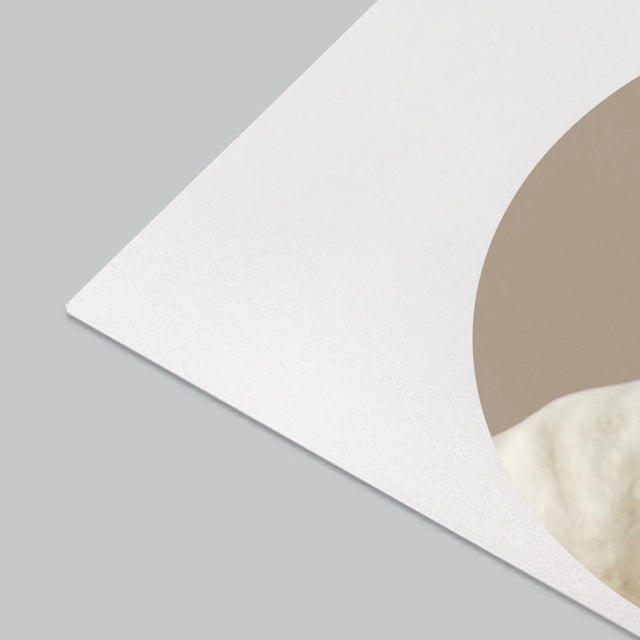 Fotografie Si Semnătură: Câinele Tău - Mapa De Birou