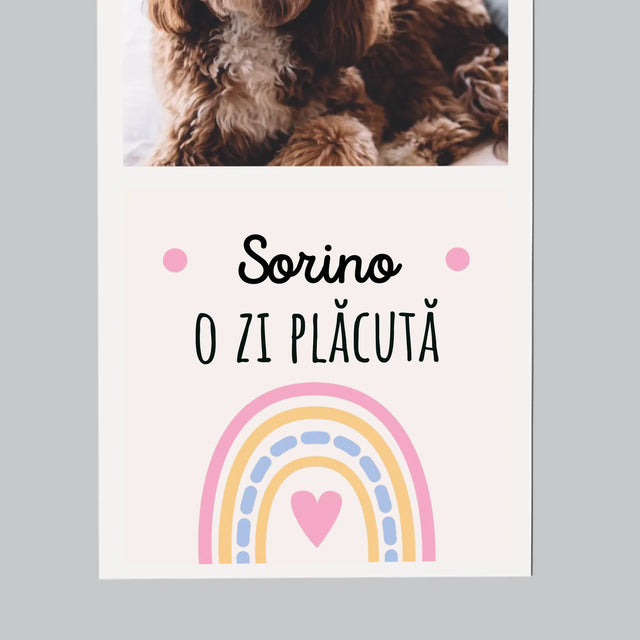 Colaj De Fotografii: O Zi Plăcută - Magnet Pe Fregider