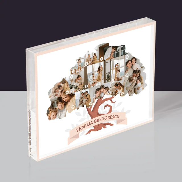 Formă Din Fotografii: Copac Familial Din Fotografii - Bloc Acrilic