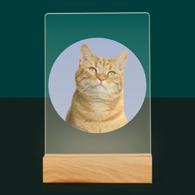 Fotografie Si Semnătură: Pisicul Tău - Imprimare Pe Sticlă Acrilică (Verticală)