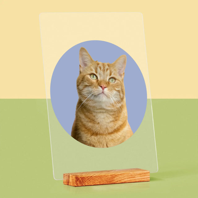 Fotografie Si Semnătură: Pisicul Tău - Imprimare Pe Sticlă Acrilică (Verticală)