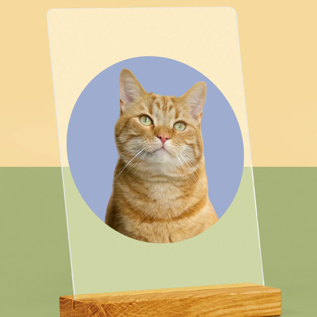 Fotografie Si Semnătură: Pisicul Tău - Imprimare Pe Sticlă Acrilică (Verticală)