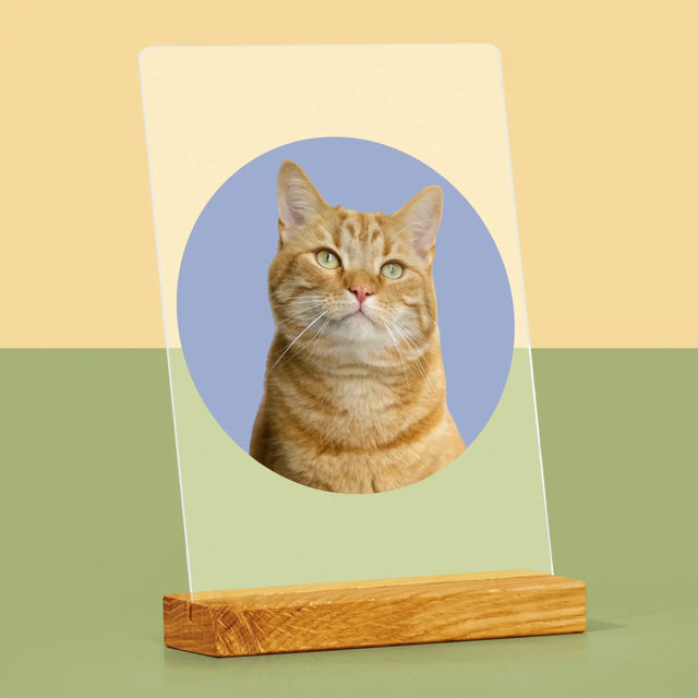 Fotografie Si Semnătură: Pisicul Tău - Imprimare Pe Sticlă Acrilică (Verticală)