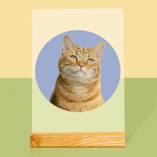 Fotografie Si Semnătură: Pisicul Tău - Imprimare Pe Sticlă Acrilică (Verticală)