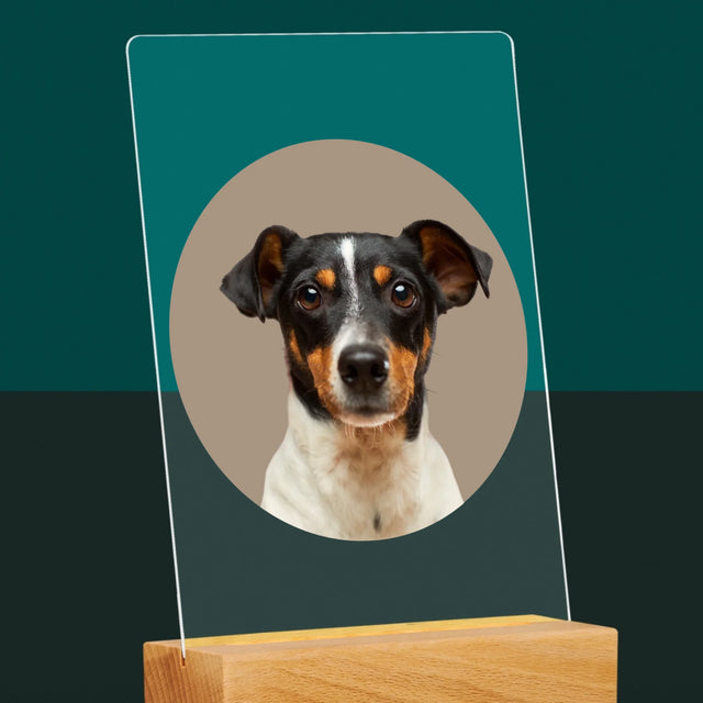 Fotografie Si Semnătură: Câinele Tău - Imprimare Pe Sticlă Acrilică (Verticală)