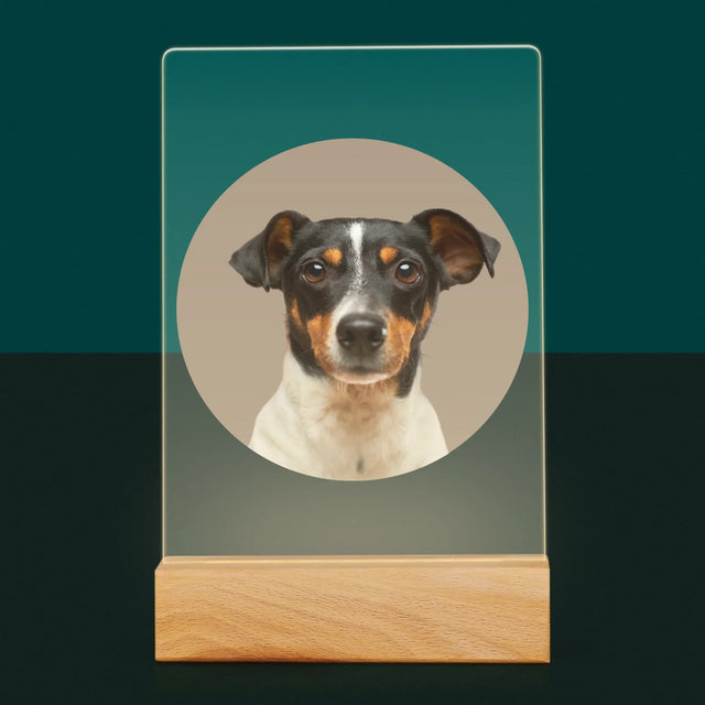 Fotografie Si Semnătură: Câinele Tău - Imprimare Pe Sticlă Acrilică (Verticală)