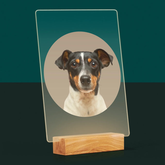 Fotografie Si Semnătură: Câinele Tău - Imprimare Pe Sticlă Acrilică (Verticală)