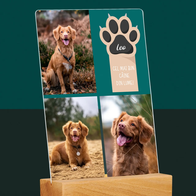 Colaj De Fotografii: Cel Mai Bun Câine - Imprimare Pe Sticlă Acrilică (Verticală)