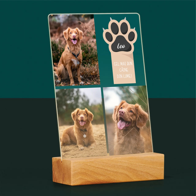 Colaj De Fotografii: Cel Mai Bun Câine - Imprimare Pe Sticlă Acrilică (Verticală)