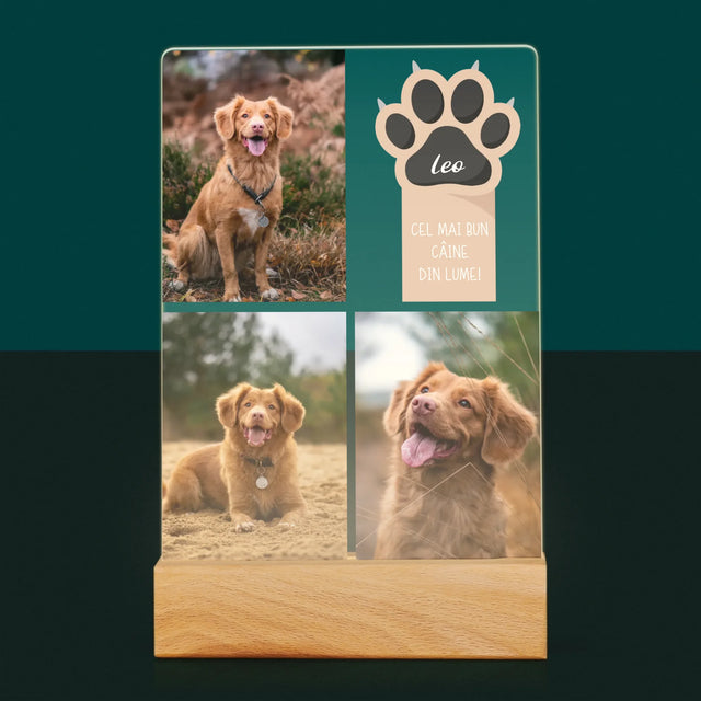 Colaj De Fotografii: Cel Mai Bun Câine - Imprimare Pe Sticlă Acrilică (Verticală)