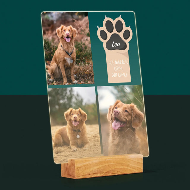 Colaj De Fotografii: Cel Mai Bun Câine - Imprimare Pe Sticlă Acrilică (Verticală)