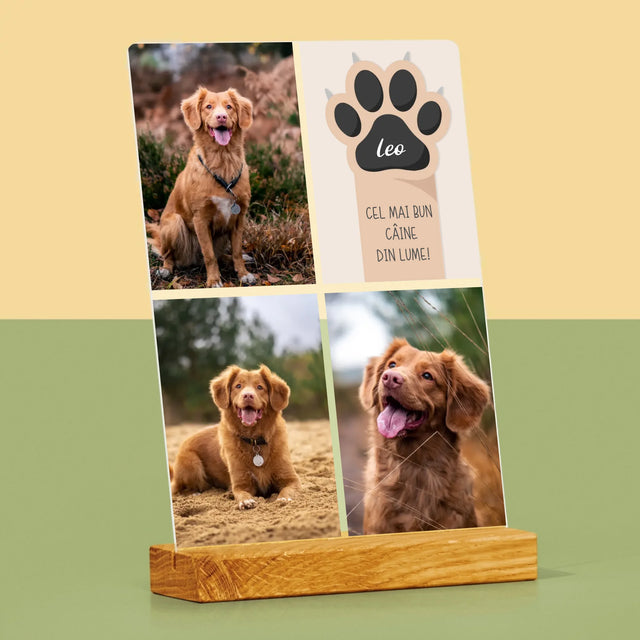 Colaj De Fotografii: Cel Mai Bun Câine - Imprimare Pe Sticlă Acrilică (Verticală)