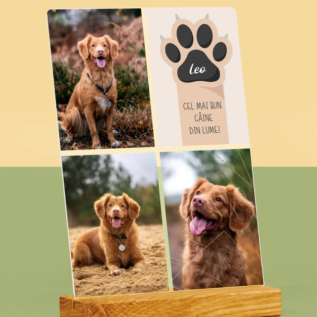 Colaj De Fotografii: Cel Mai Bun Câine - Imprimare Pe Sticlă Acrilică (Verticală)