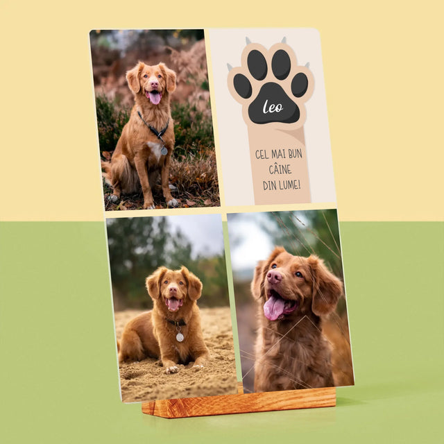 Colaj De Fotografii: Cel Mai Bun Câine - Imprimare Pe Sticlă Acrilică (Verticală)
