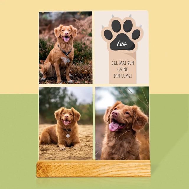 Colaj De Fotografii: Cel Mai Bun Câine - Imprimare Pe Sticlă Acrilică (Verticală)