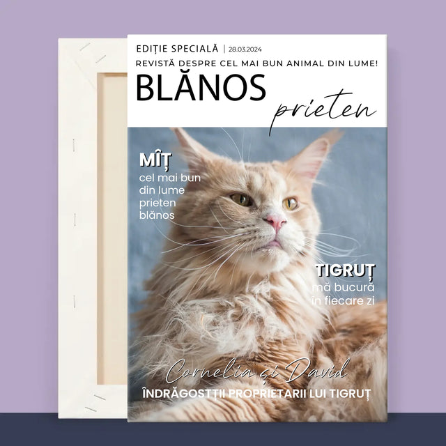 2 - 20x30 40x60 60x90