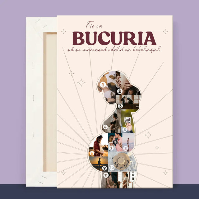 2 - 20x30 40x60 60x90