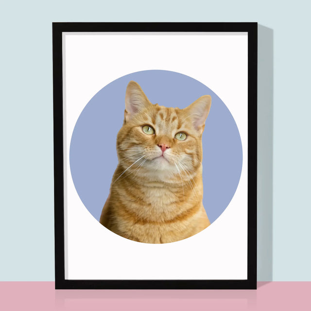 Fotografie Si Semnătură: Pisicul Tău - Imprimare Cu Ramă 30X40 (Verticală)
