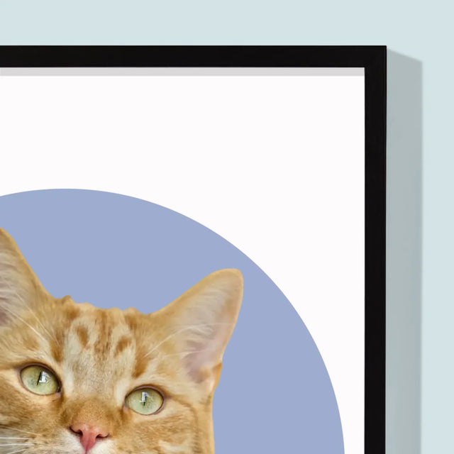 Fotografie Si Semnătură: Pisicul Tău - Imprimare Cu Ramă 30X40 (Verticală)