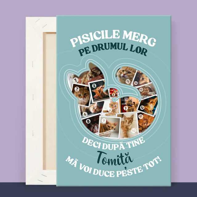 2 - 20x30 40x60 60x90