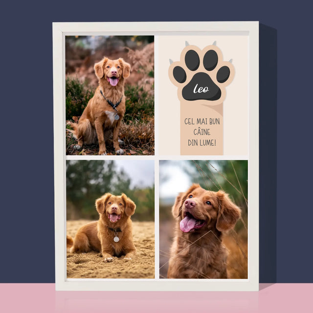 Colaj De Fotografii: Cel Mai Bun Câine - Imprimare Cu Ramă 30X40 (Verticală)