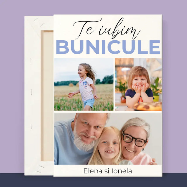 2 - 20x30 40x60 60x90