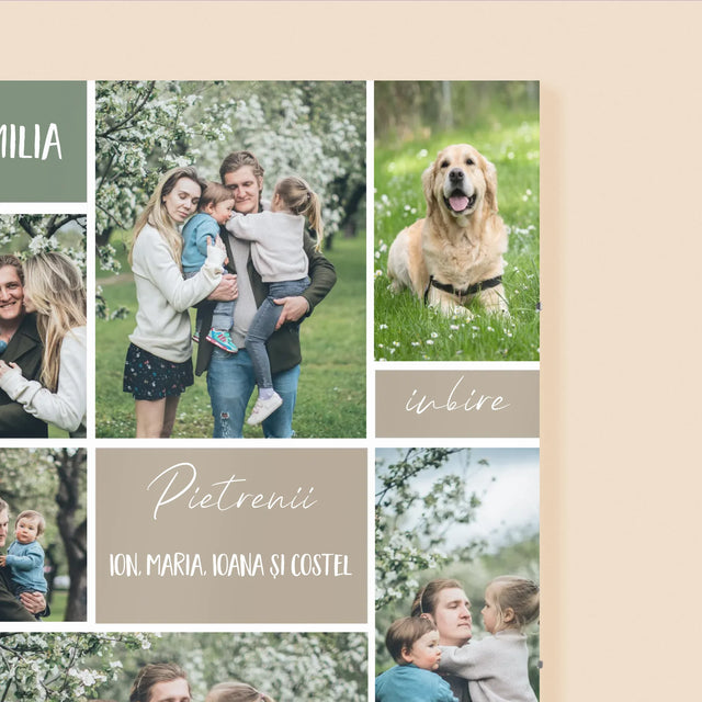 Colaj De Fotografii: Familia Colaj Din Fotografii - Poster