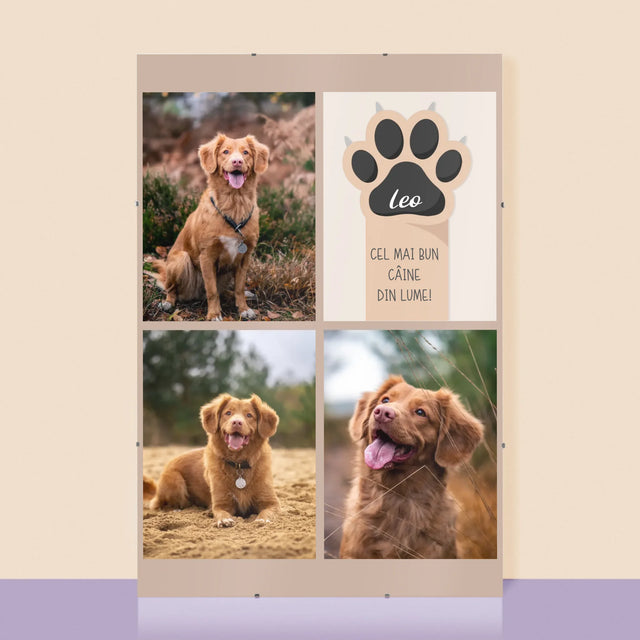 Colaj De Fotografii: Cel Mai Bun Câine - Poster