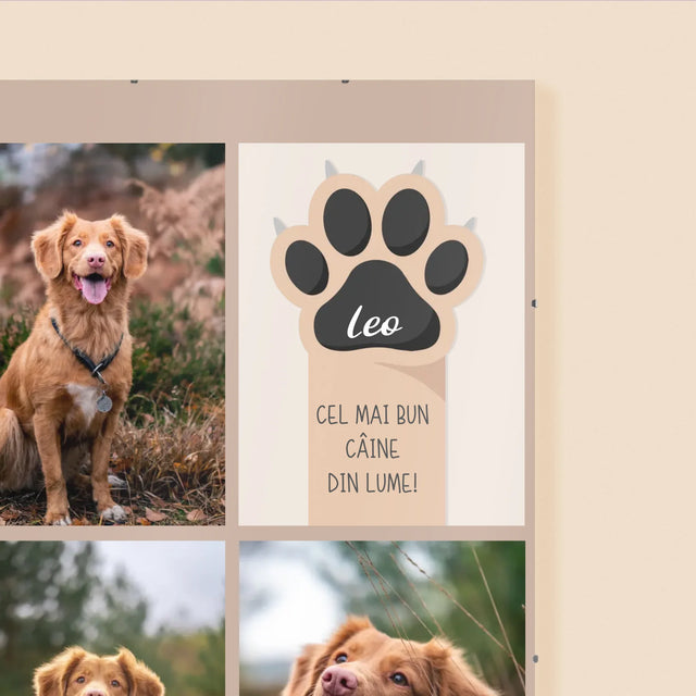 Colaj De Fotografii: Cel Mai Bun Câine - Poster