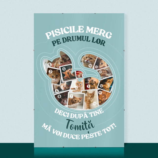 Formă Din Fotografii: Pisic - Poster