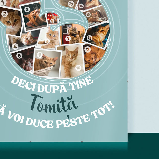 Formă Din Fotografii: Pisic - Poster