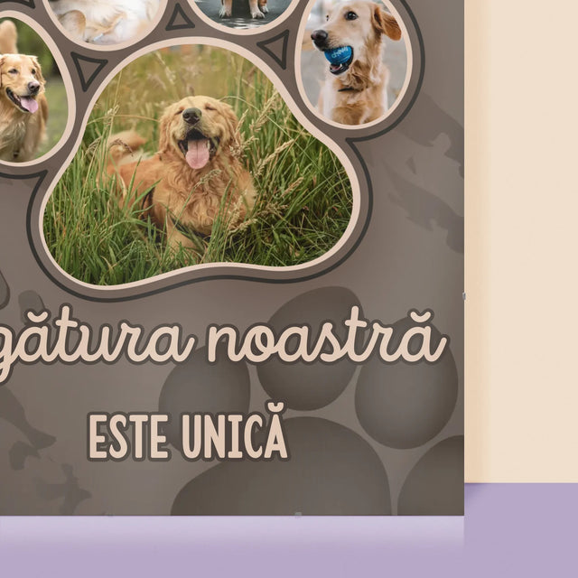 Formă Din Fotografii: Amprenta Lebei - Poster