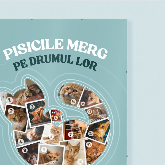 Formă Din Fotografii: Pisic - Poster