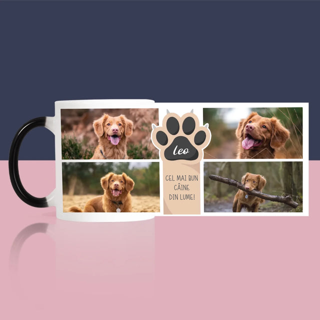 Colaj De Fotografii: Cel Mai Bun Câine - Cană