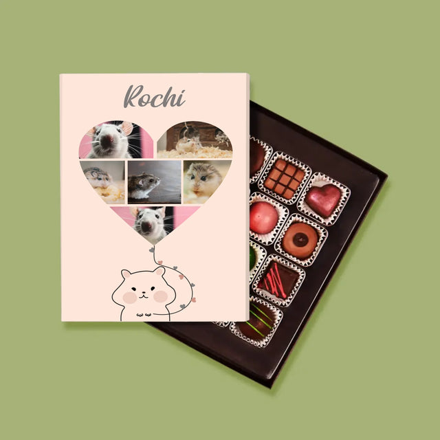 Colaj De Fotografii: Hamster - Praline