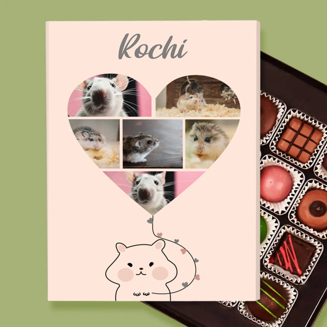 Colaj De Fotografii: Hamster - Praline