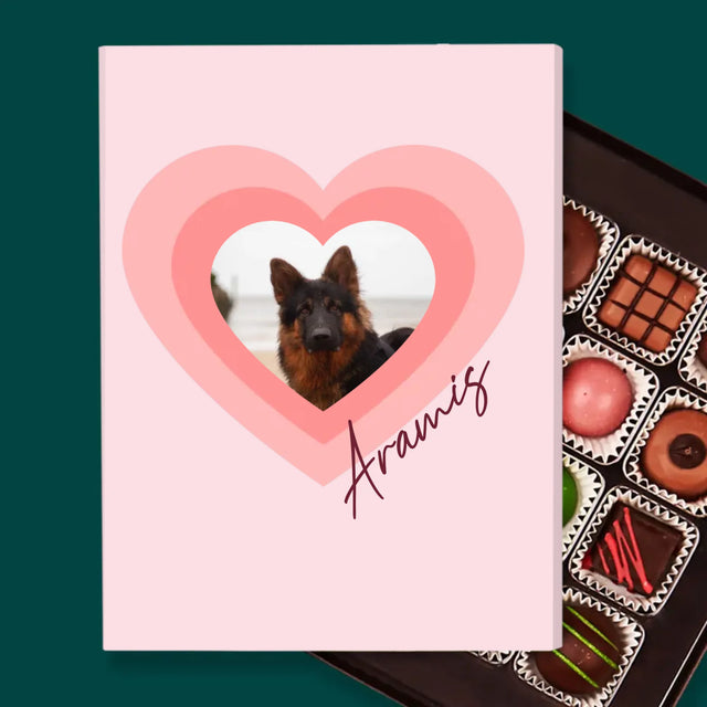 Fotografie Si Semnătură: Fotografia Cățelușului În Inimă - Praline